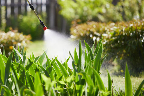 24/7 Emergency Wasp Removal experts in Justin, TX