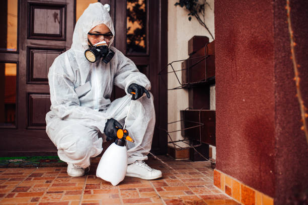 Reliable Wasp Removal contractor in Justin, TX by Show Me Pest Control